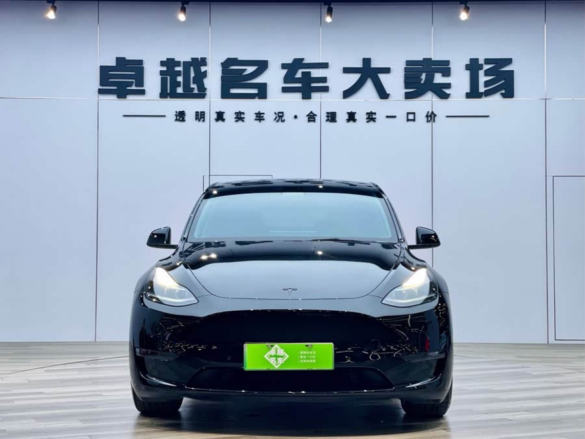 特斯拉 Model Y  2022款 Performance高性能全輪驅(qū)動(dòng)版圖片