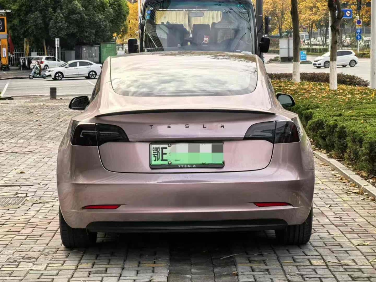 特斯拉 Model 3  2019款 標(biāo)準(zhǔn)續(xù)航后驅(qū)升級(jí)版圖片