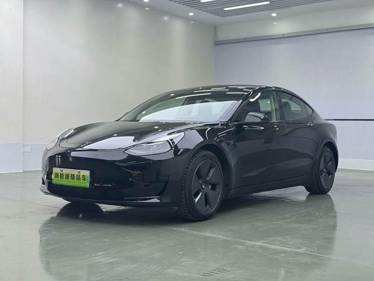 2021年7月特斯拉 Model 3  2021款 標(biāo)準(zhǔn)續(xù)航后驅(qū)升級版 3D6