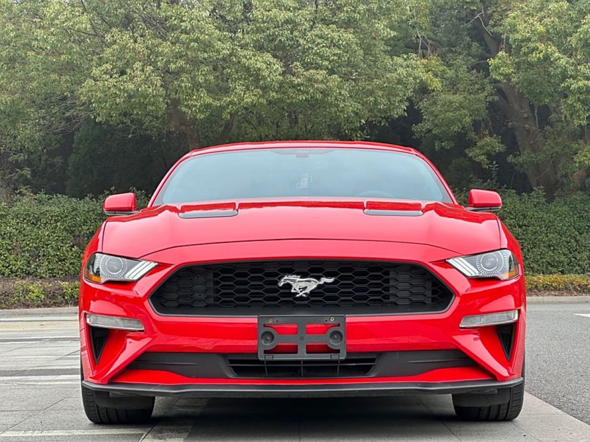 福特 Mustang  2017款 2.3T 性能版圖片