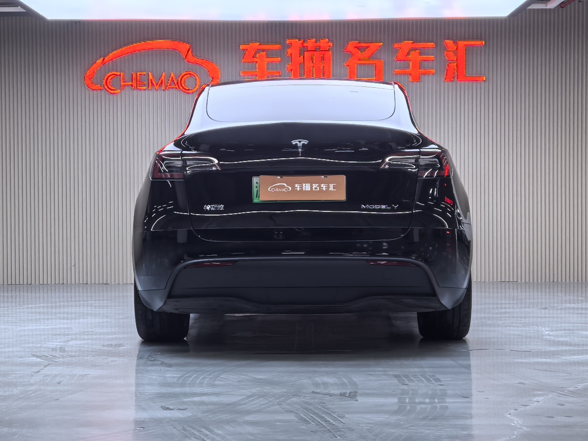 特斯拉 Model Y  2020款 改款 長(zhǎng)續(xù)航后輪驅(qū)動(dòng)版圖片