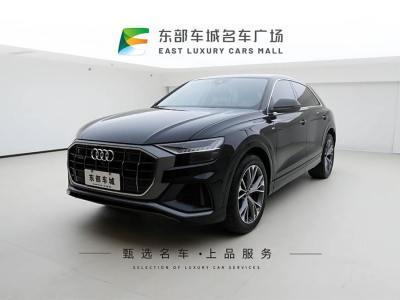 2023年11月 奧迪 奧迪Q8(進(jìn)口) 55 TFSI 豪華動(dòng)感型圖片