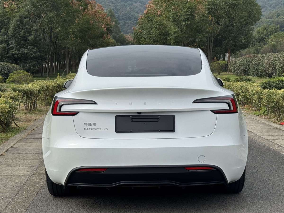 特斯拉 Model Y  2023款 煥新版 后輪驅(qū)動圖片