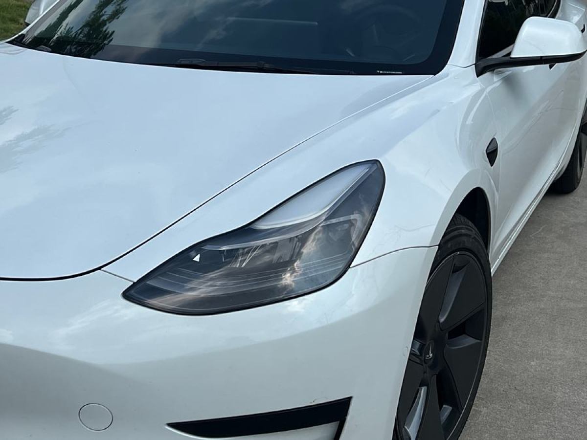 特斯拉 Model Y  2021款 改款 標(biāo)準(zhǔn)續(xù)航后驅(qū)升級版圖片