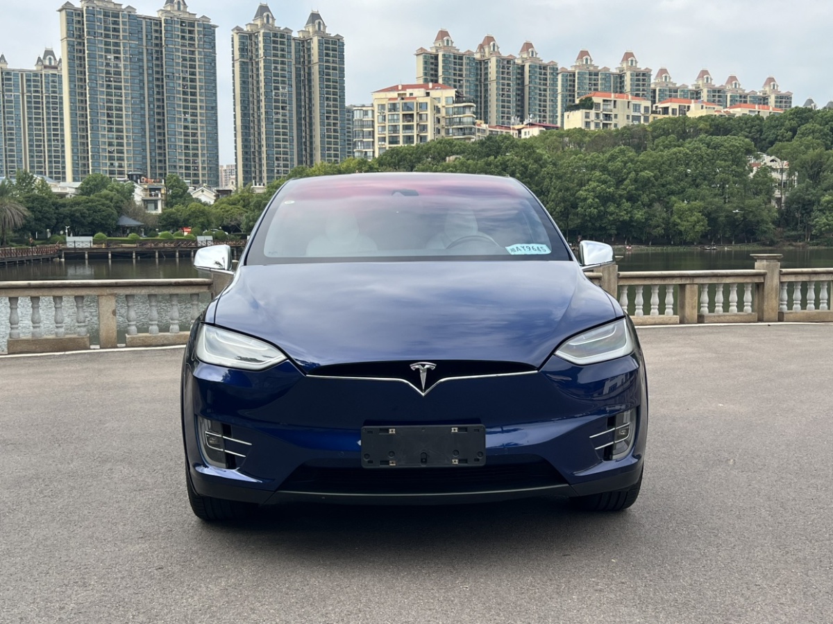 特斯拉 Model X  2016款 Model X 75D圖片