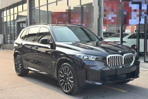 寶馬X5 寶馬 xDrive 40Li M運(yùn)動曜夜套裝