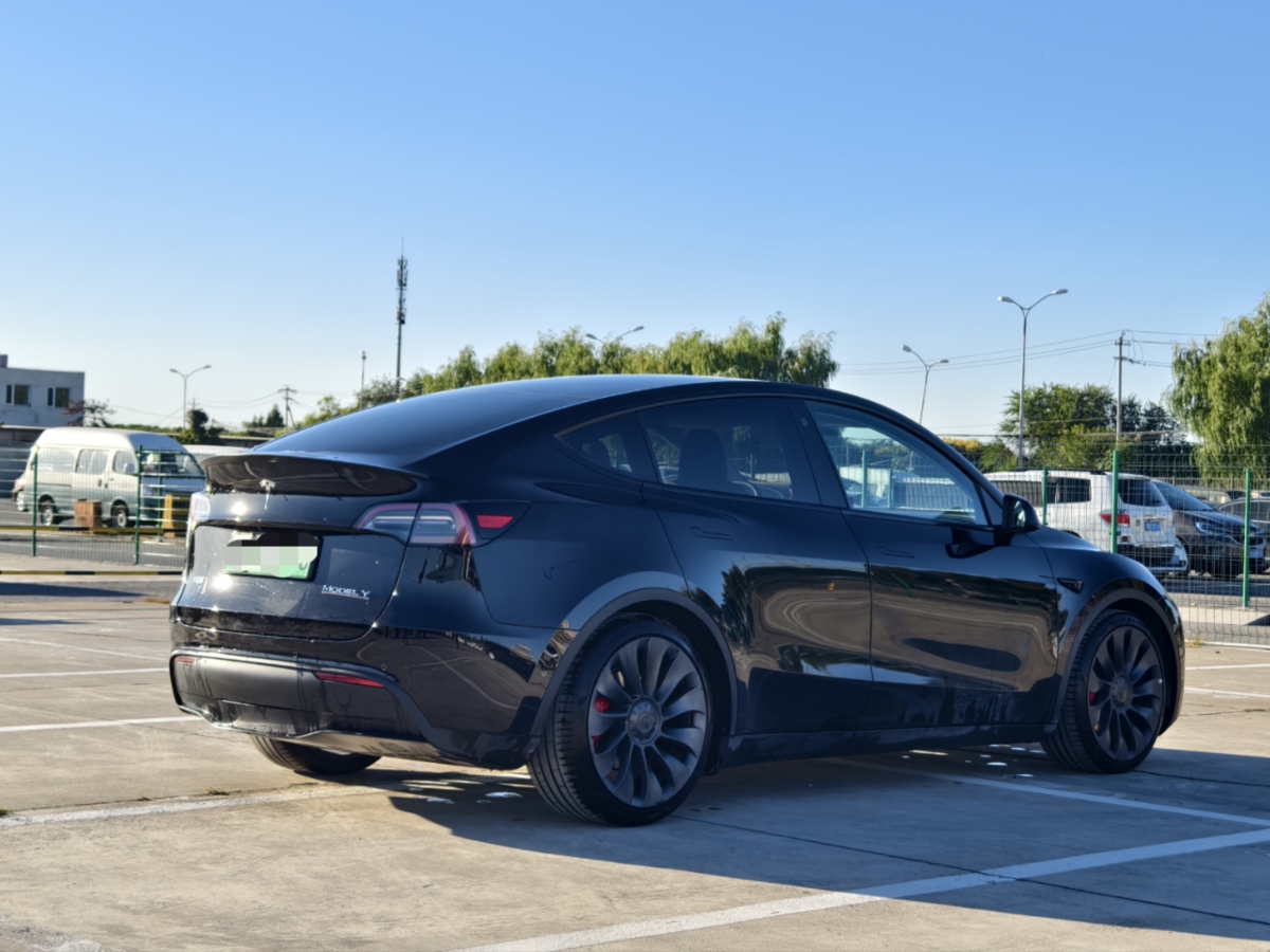 特斯拉 Model Y  2021款 改款 Performance高性能全輪驅(qū)動版圖片