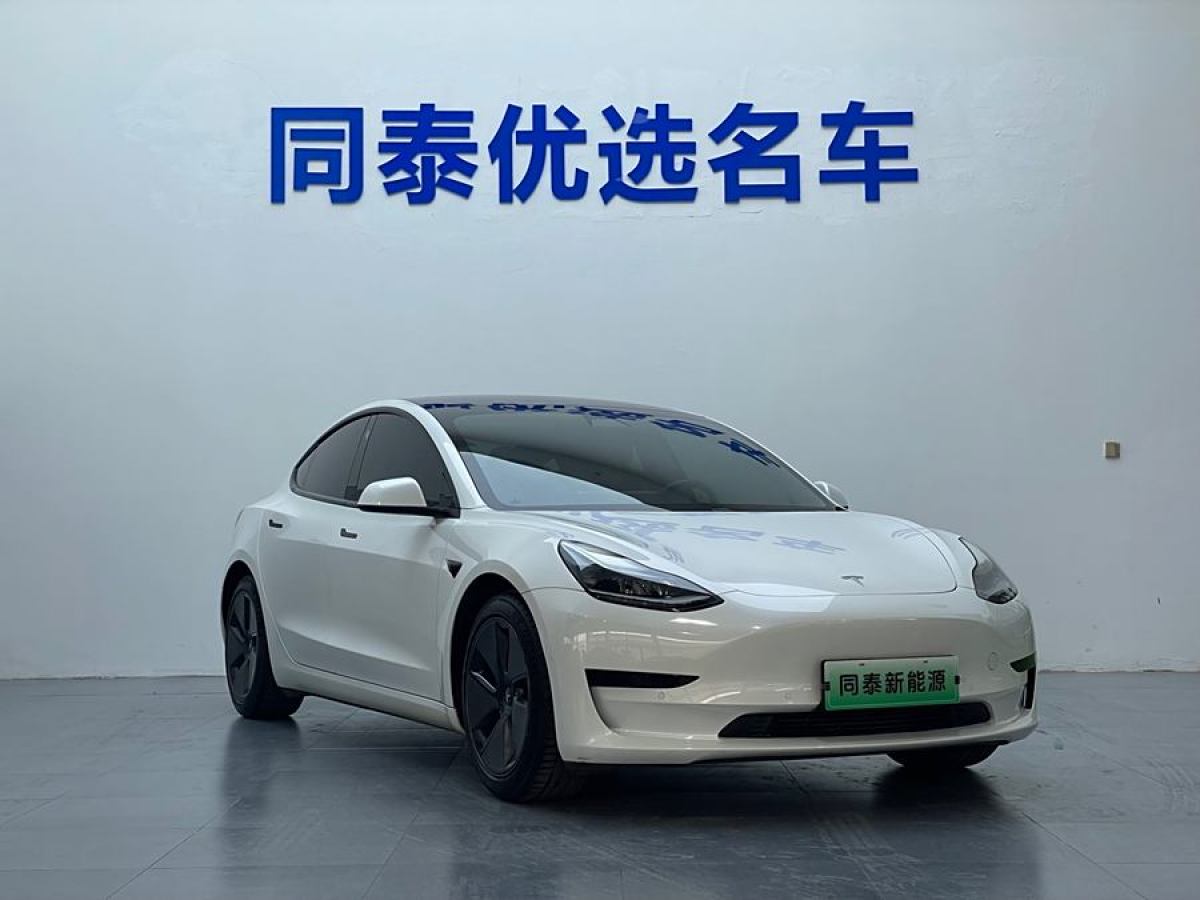 特斯拉 Model 3  2021款 改款 標(biāo)準(zhǔn)續(xù)航后驅(qū)升級(jí)版圖片