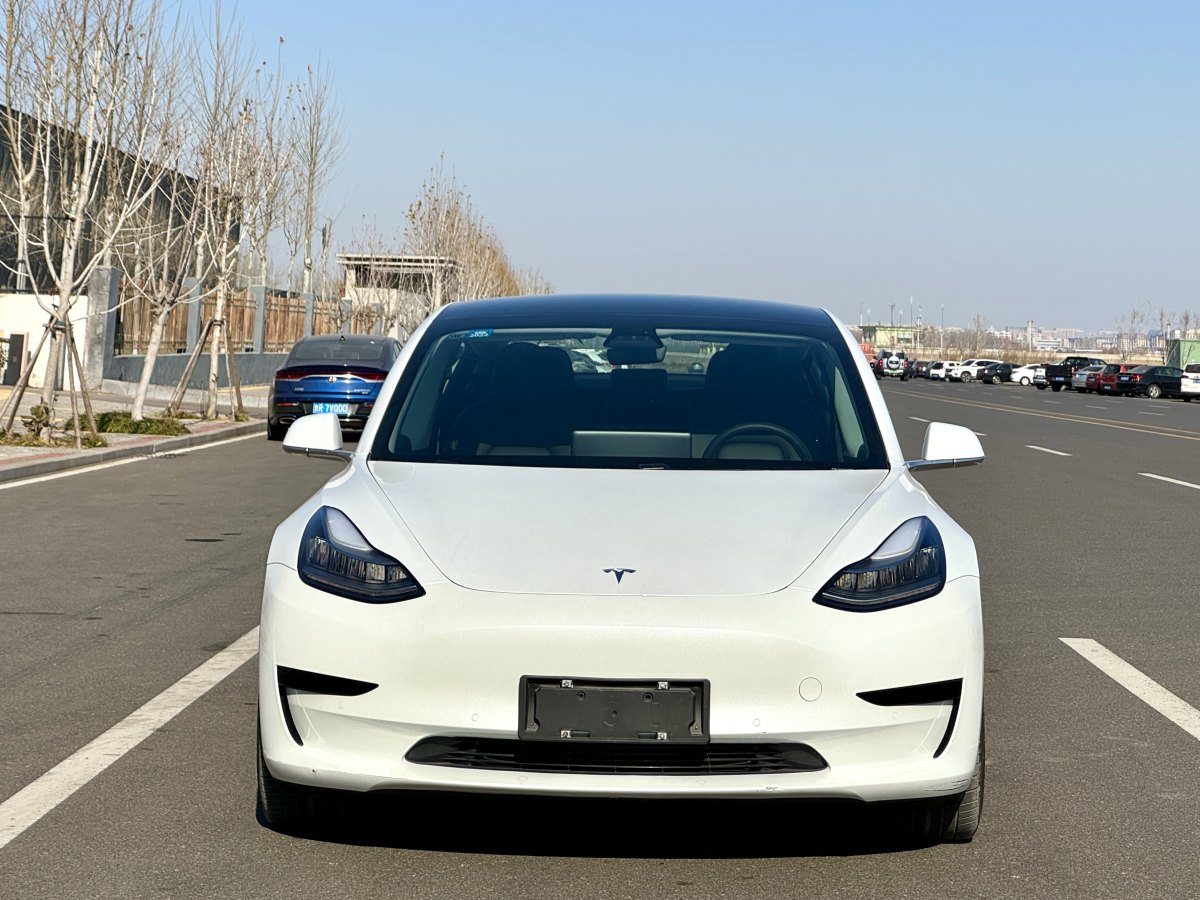 特斯拉 Model 3  2019款 標(biāo)準(zhǔn)續(xù)航后驅(qū)升級(jí)版圖片