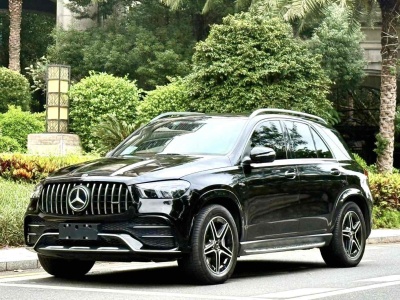 2021年6月 奔馳 奔馳GLE AMG AMG GLE 53 4MATIC+圖片