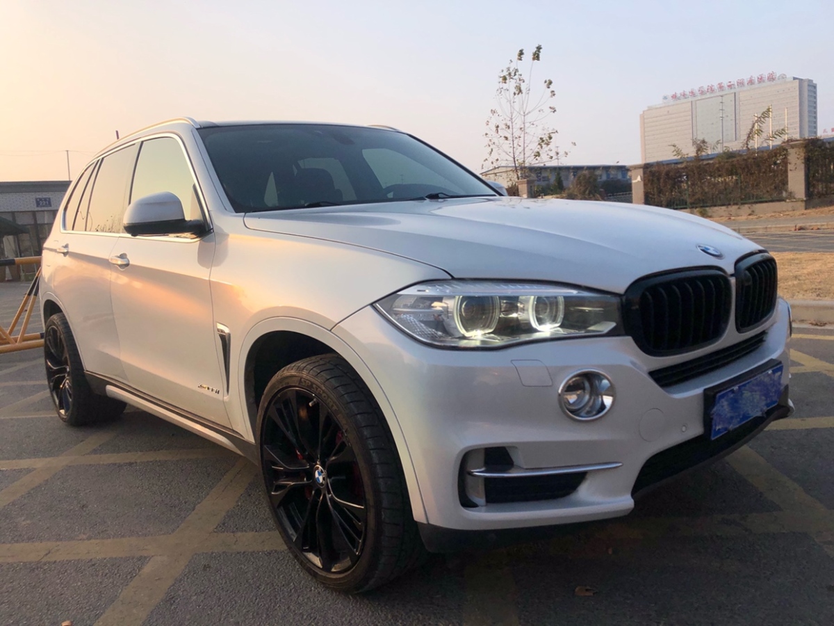 寶馬 寶馬X5  2014款 xDrive35i 豪華型圖片