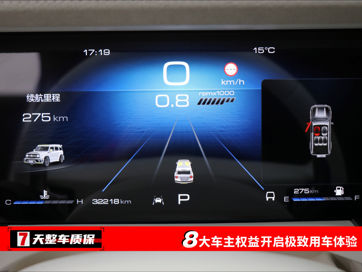 坦克 坦克300共创  2021款 2.0T 赛博坦克图片