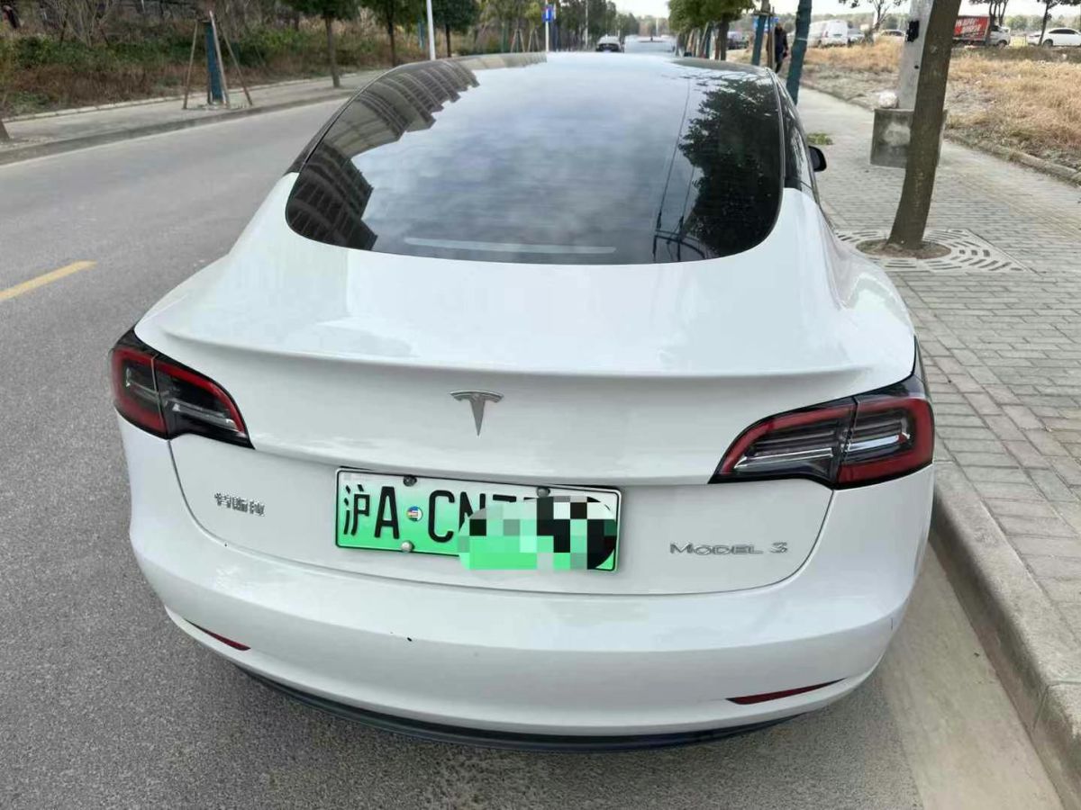 特斯拉 Model S  2023款 三電機(jī)全輪驅(qū)動(dòng) Plaid版圖片