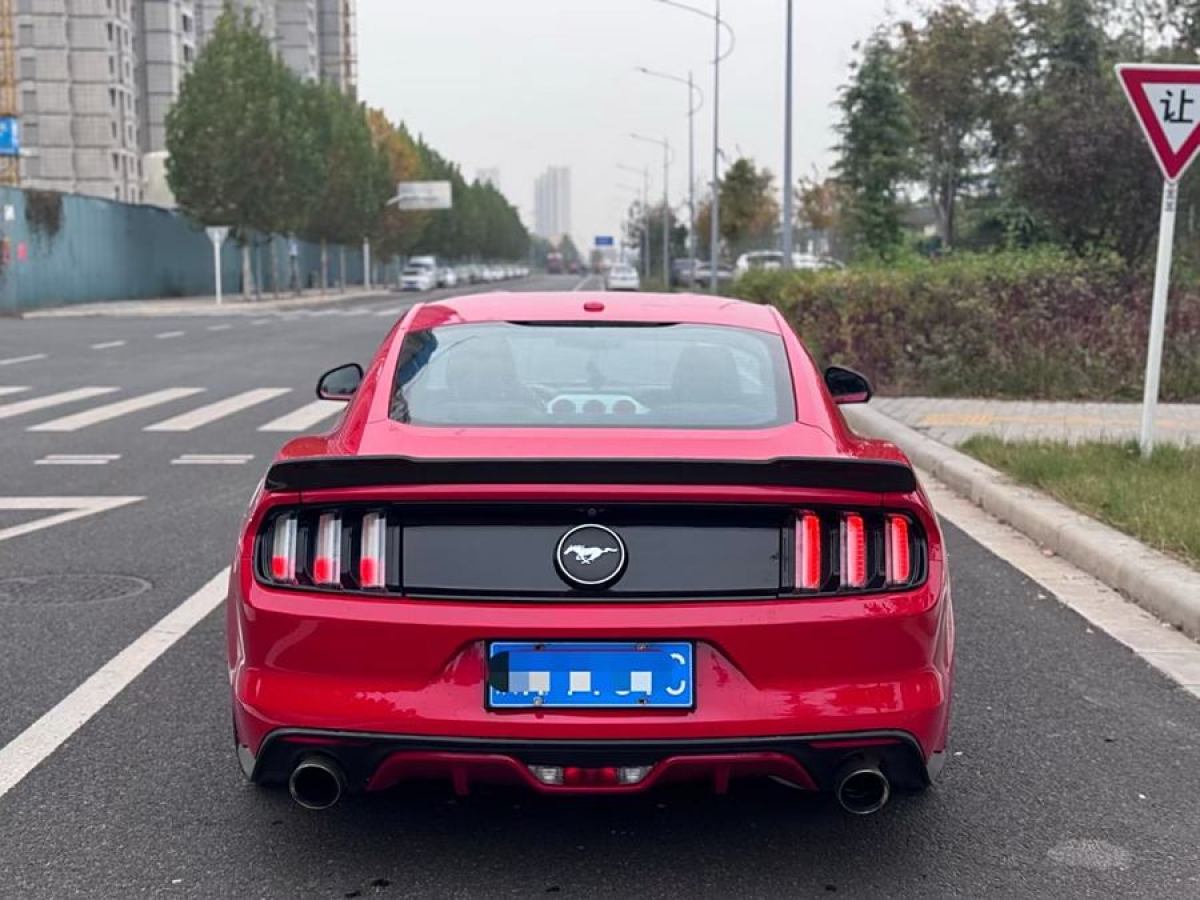 福特 Mustang  2015款 2.3T 性能版圖片