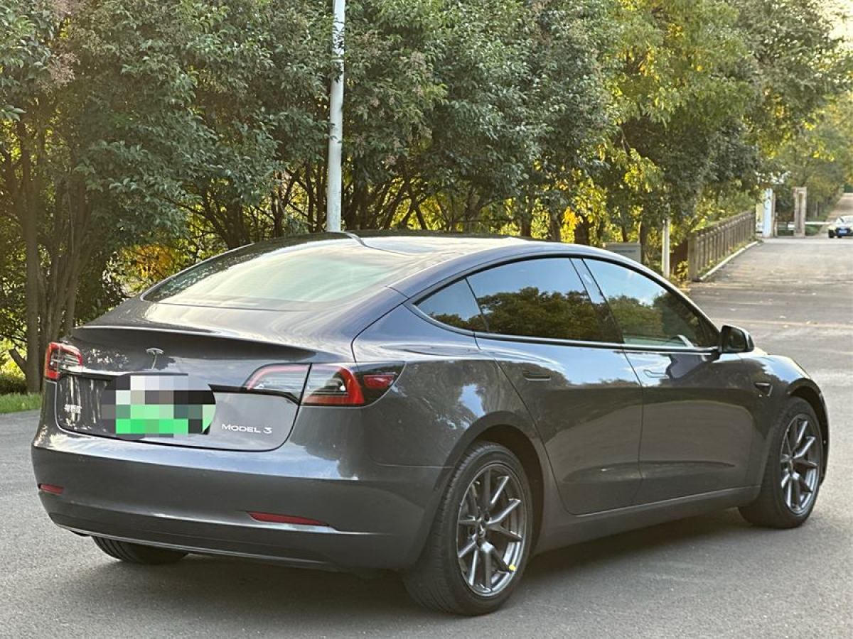 特斯拉 Model 3  2021款 改款 標(biāo)準(zhǔn)續(xù)航后驅(qū)升級(jí)版圖片