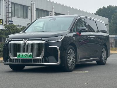 2025年1月 嵐圖 夢想家 PHEV 四驅(qū)尊貴鯤鵬版圖片