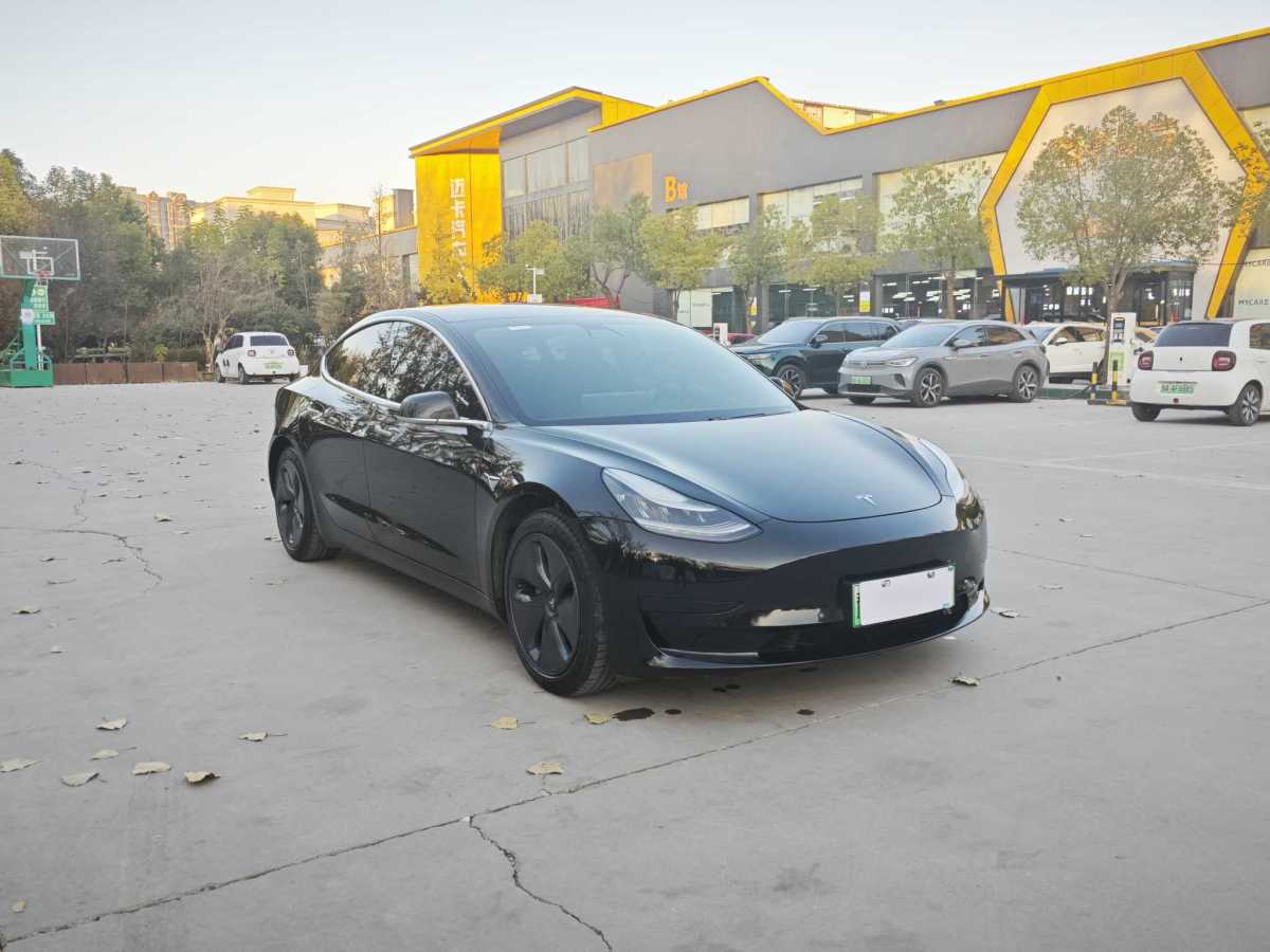 特斯拉 Model 3  2020款 改款 標(biāo)準(zhǔn)續(xù)航后驅(qū)升級版圖片