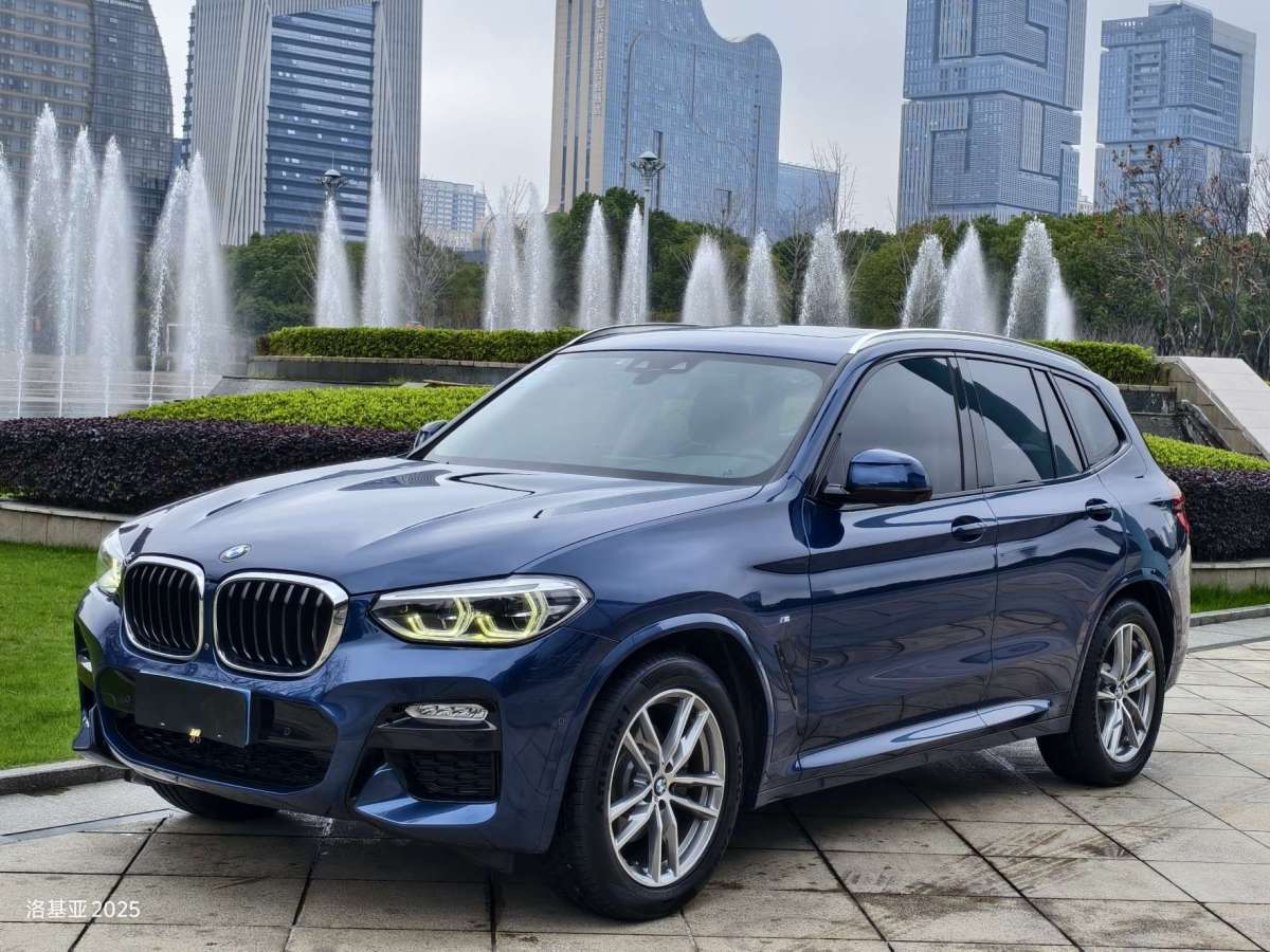 2019年6月寶馬 寶馬X3  2019款  xDrive30i 領(lǐng)先型 M運(yùn)動(dòng)套裝