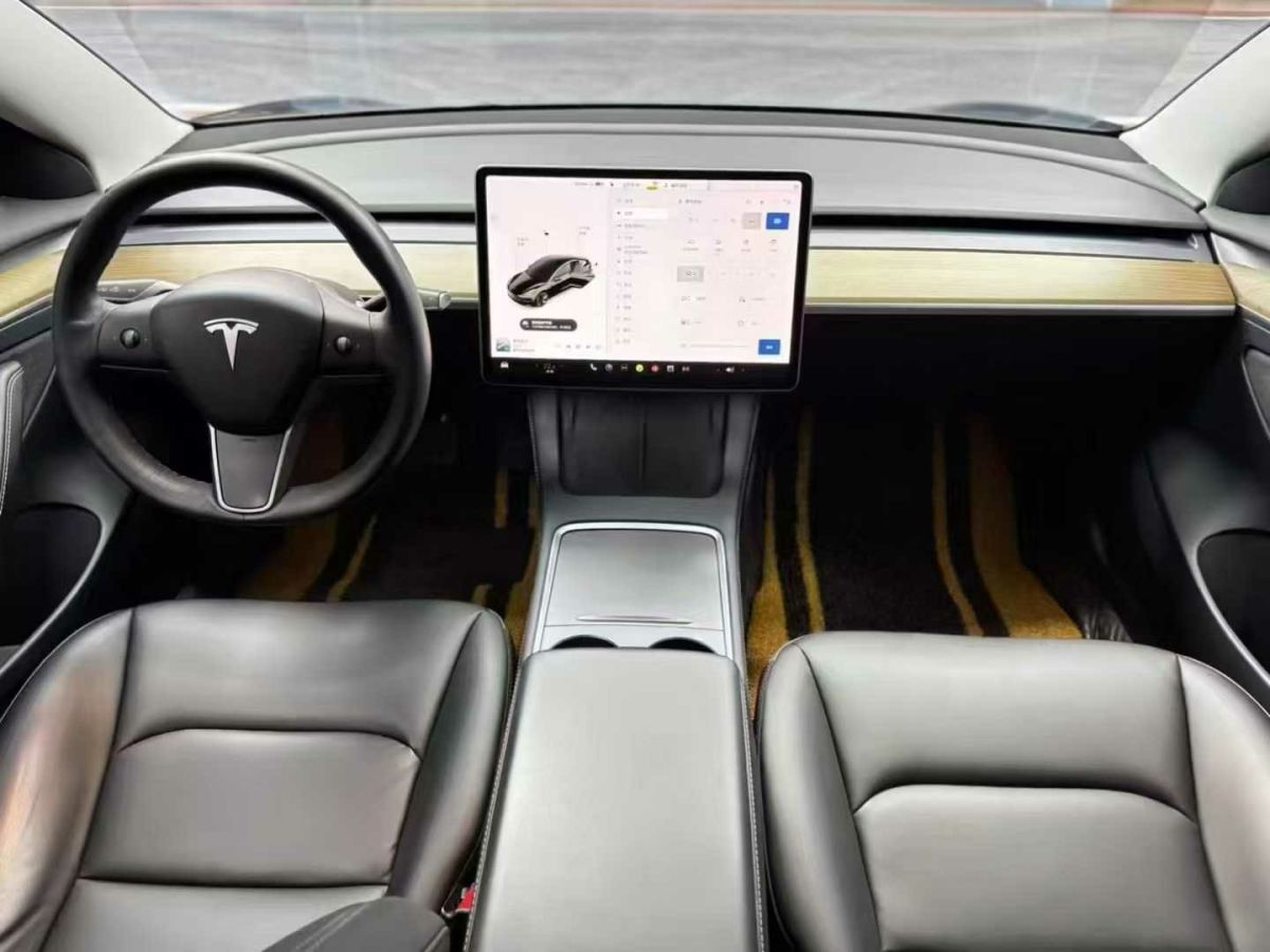 特斯拉 Model Y  2021款 標準續(xù)航后驅(qū)版圖片