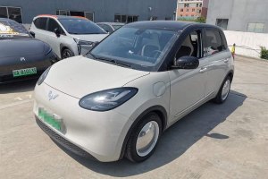 五菱繽果 五菱 333km 靈犀互聯(lián)+款