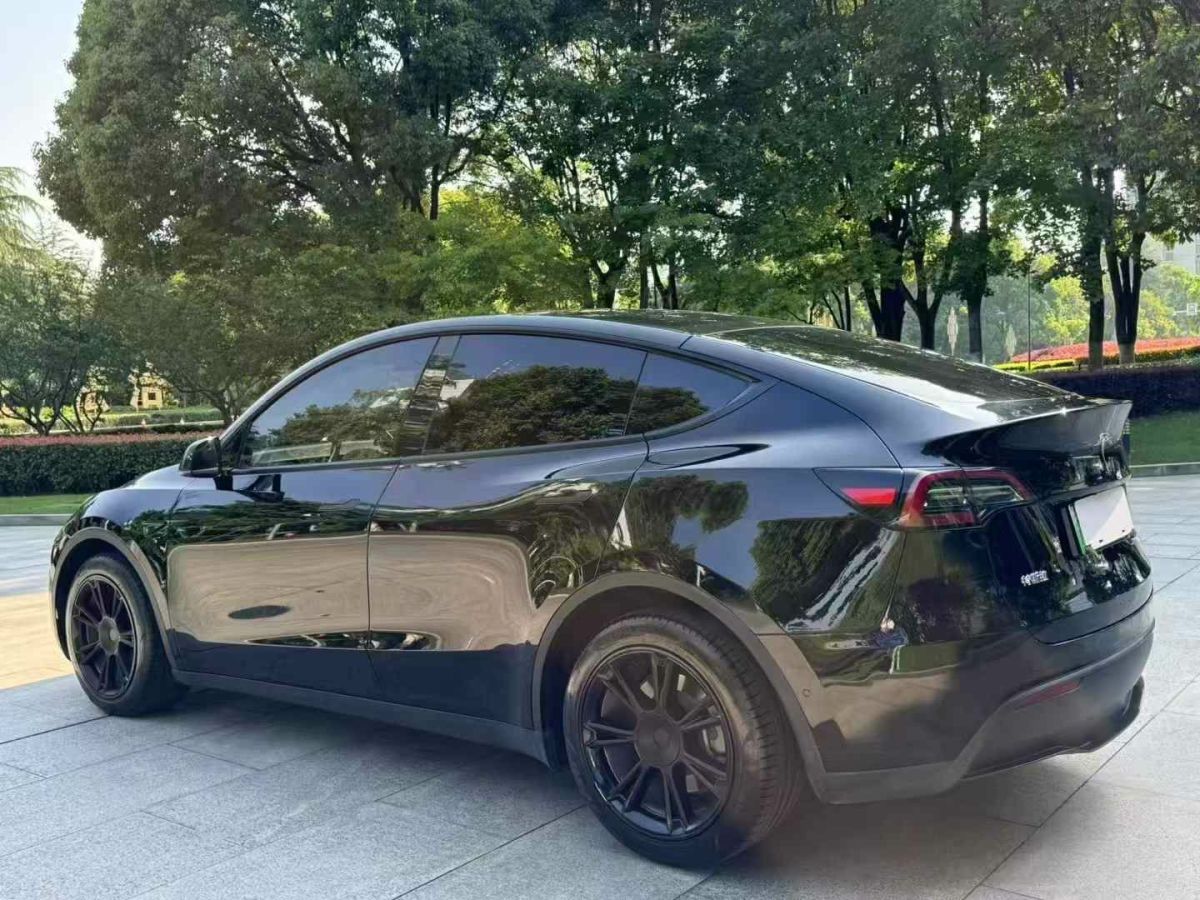 特斯拉 Model Y  2022款 Performance高性能全輪驅(qū)動版圖片