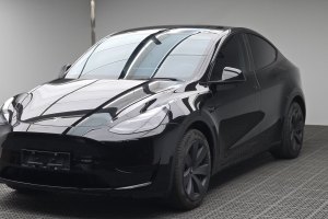 Model 3 特斯拉 改款 长续航后轮驱动版