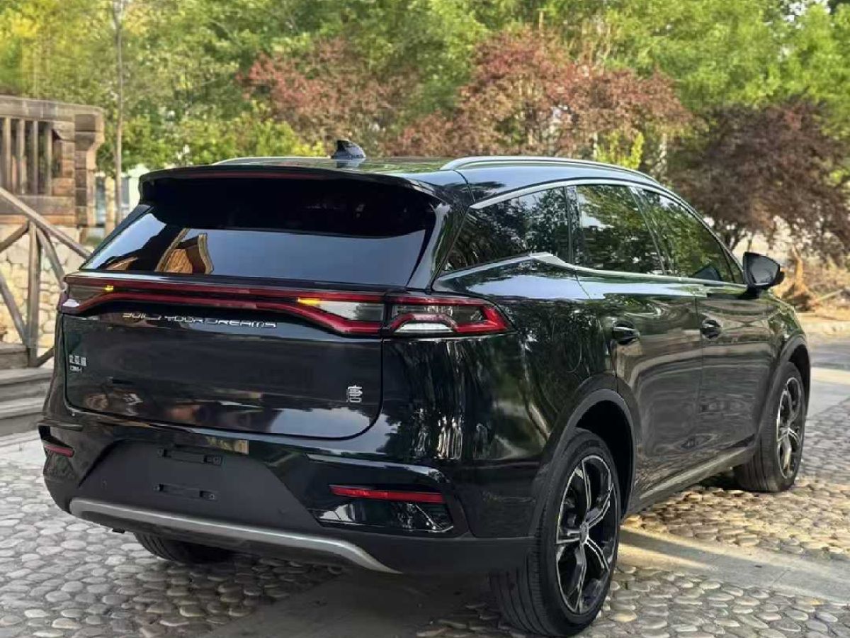 比亞迪 唐新能源  2021款 EV 長續(xù)航版尊榮型圖片