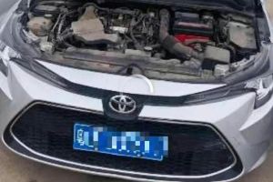 雷凌 豐田 185T CVT進(jìn)取版