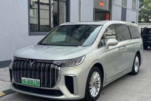 夢(mèng)想家 嵐圖 EV 超長(zhǎng)續(xù)航卓越版