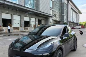 Model Y 特斯拉 Performance高性能全輪驅(qū)動(dòng)版