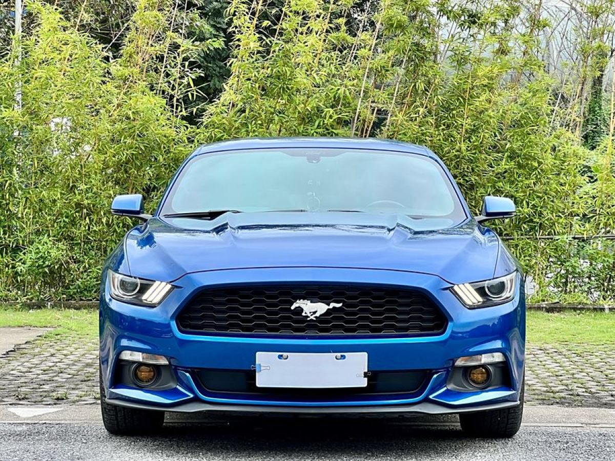 福特 Mustang  2017款 2.3T 性能版圖片