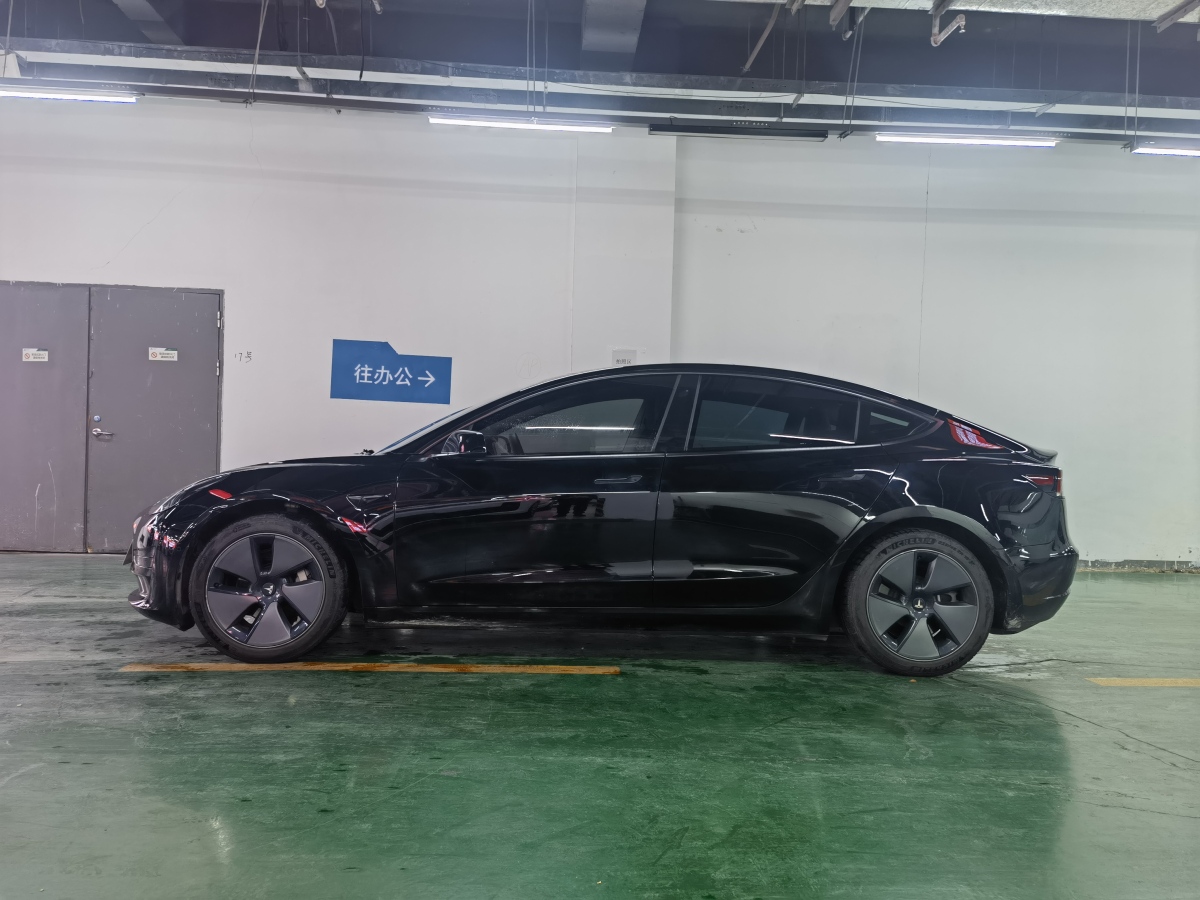 特斯拉 Model 3  2021款 標(biāo)準(zhǔn)續(xù)航后驅(qū)升級(jí)版 3D6圖片