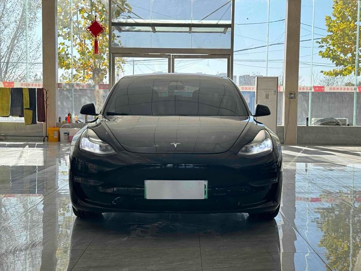 特斯拉 Model 3  2019款 長(zhǎng)續(xù)航全輪驅(qū)動(dòng)版圖片