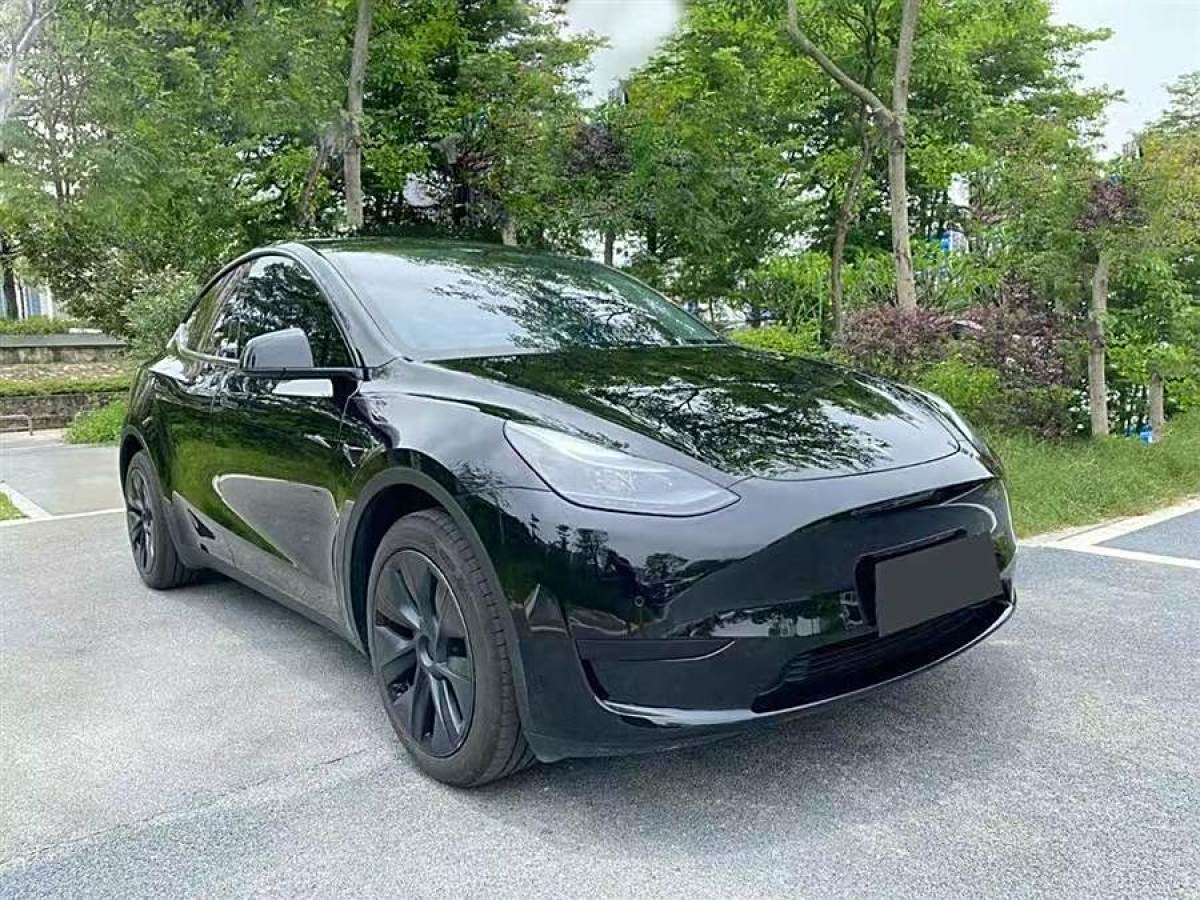 特斯拉 Model 3  2020款 改款 長(zhǎng)續(xù)航后輪驅(qū)動(dòng)版圖片