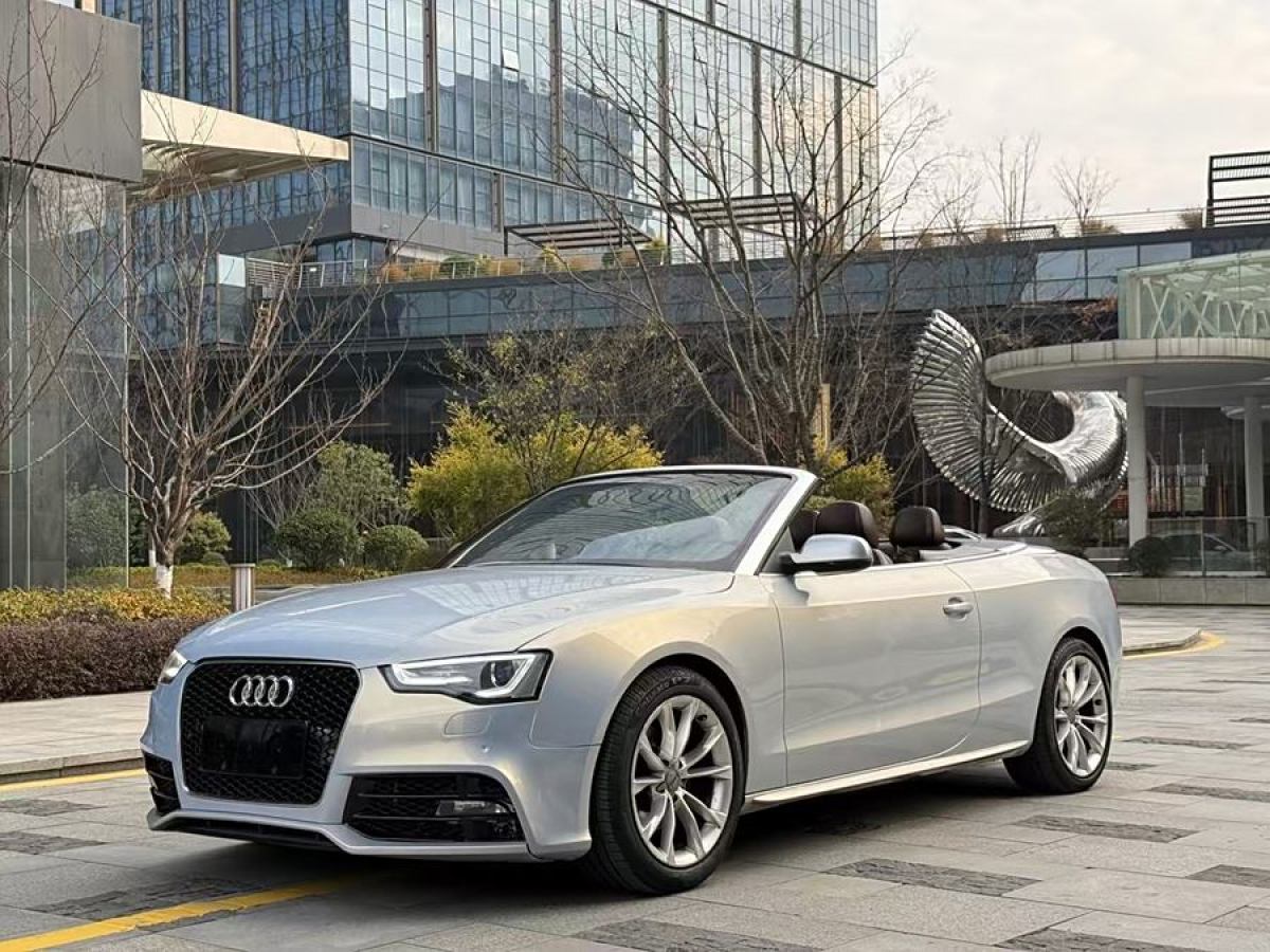 奧迪 奧迪A5  2012款 2.0TFSI Cabriolet quattro圖片