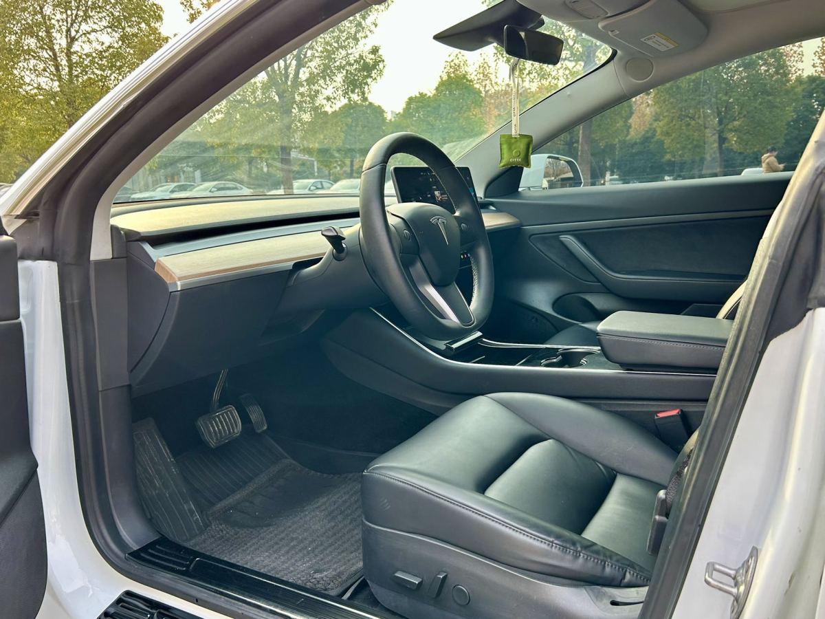 特斯拉 Model 3  2019款 標(biāo)準(zhǔn)續(xù)航后驅(qū)升級(jí)版圖片