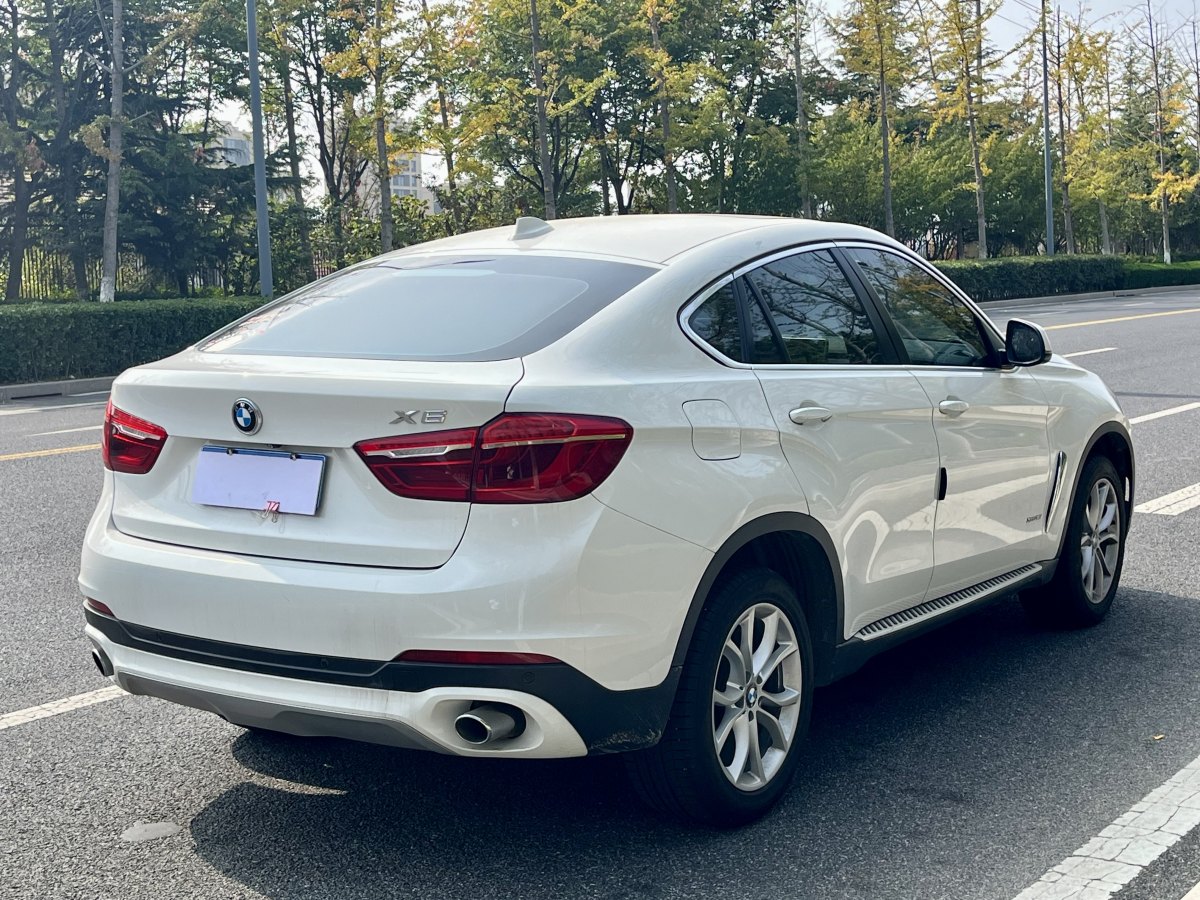 2019年1月寶馬 寶馬X6  2017款 xDrive35i 領(lǐng)先型