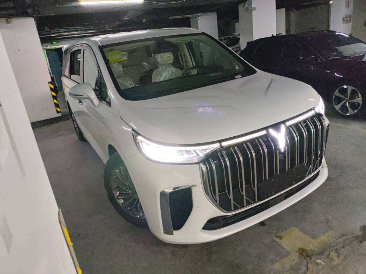 嵐圖 夢想家  2024款 PHEV 超長續(xù)航旗艦版圖片