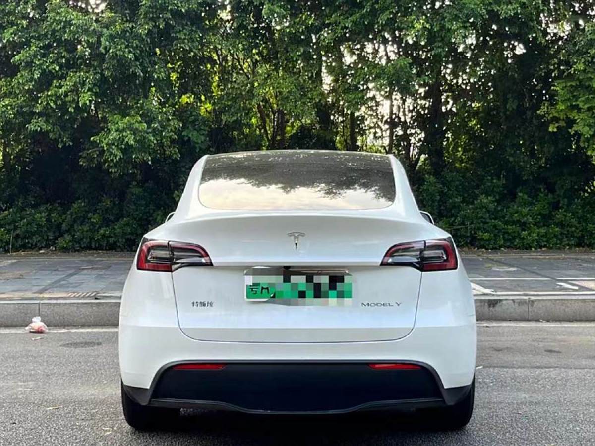 特斯拉 Model Y  2020款 改款 長(zhǎng)續(xù)航后輪驅(qū)動(dòng)版圖片