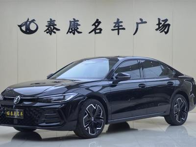 2025年1月 大眾 帕薩特 Pro 380TSI 星空龍尊版圖片