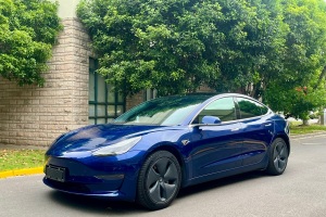 Model 3 特斯拉 改款 長續(xù)航后輪驅(qū)動版