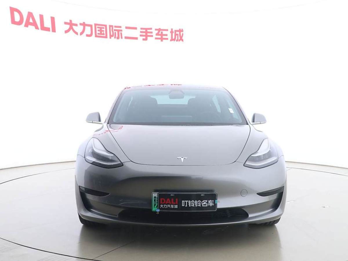 特斯拉 Model 3  2020款 改款 標(biāo)準(zhǔn)續(xù)航后驅(qū)升級版圖片