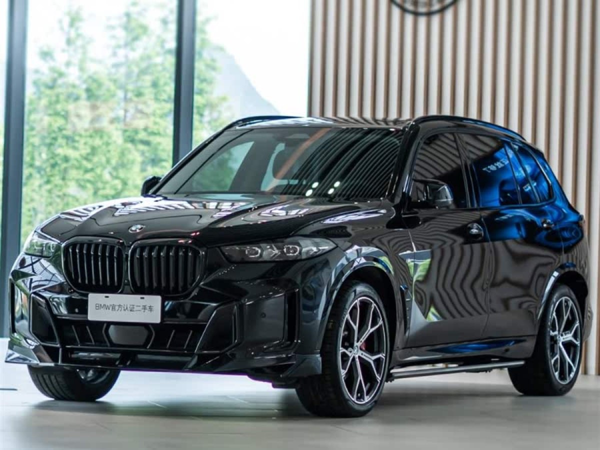 寶馬 寶馬X5  2023款 xDrive 30Li 尊享型M運(yùn)動套裝圖片