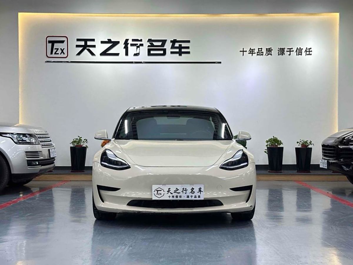 特斯拉 Model 3  2020款 改款 標(biāo)準續(xù)航后驅(qū)升級版圖片