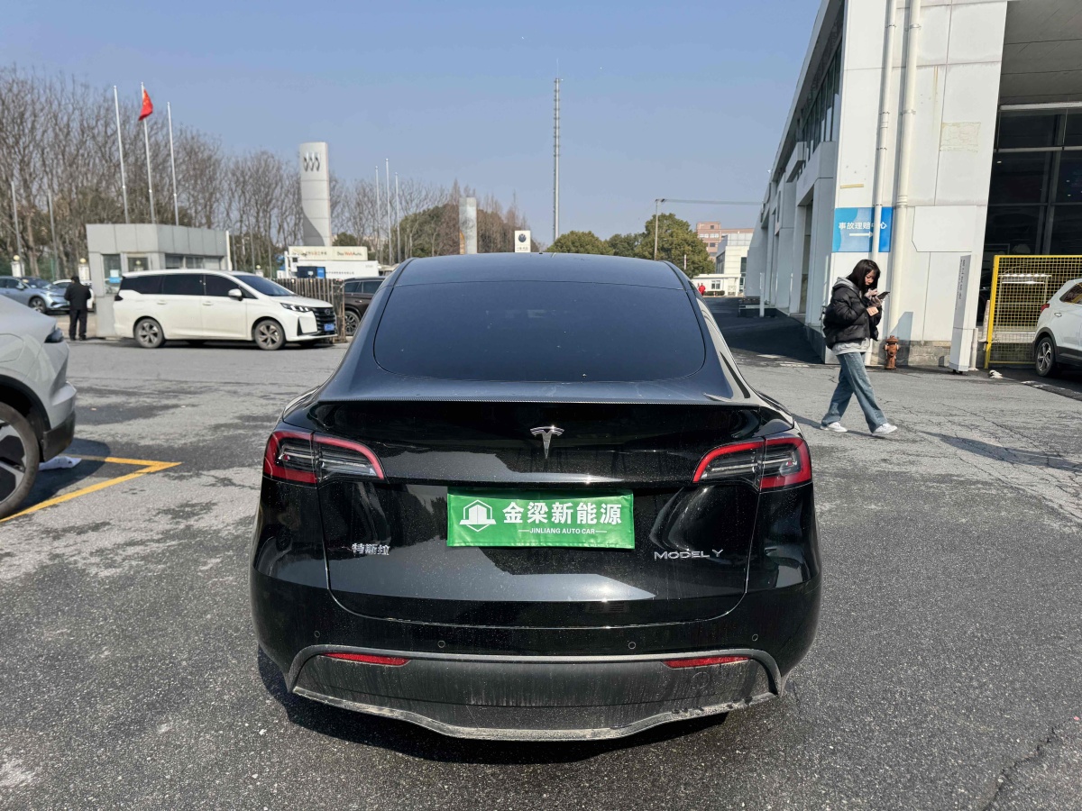 特斯拉 Model 3  2020款 改款 長續(xù)航后輪驅(qū)動(dòng)版圖片