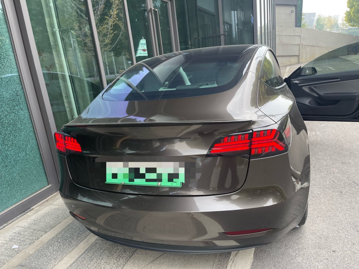 特斯拉 Model 3  2019款 標(biāo)準(zhǔn)續(xù)航后驅(qū)升級版圖片