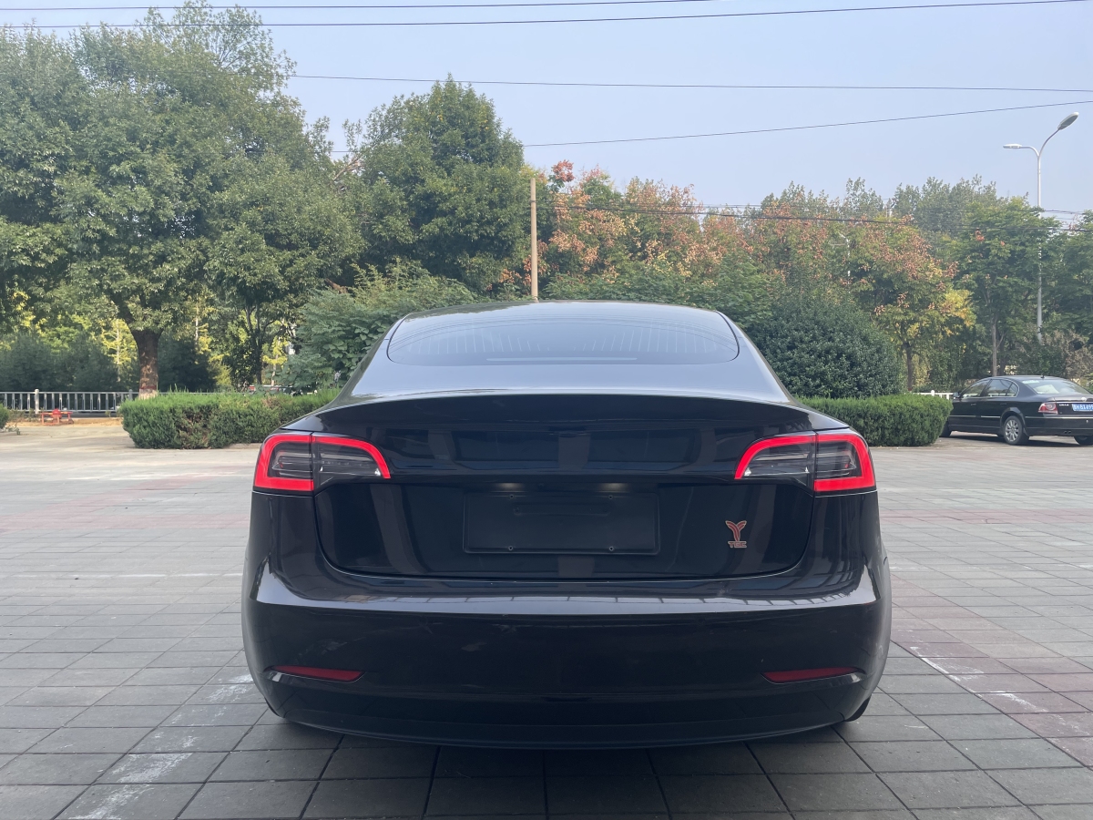 特斯拉 Model 3  2019款 標(biāo)準(zhǔn)續(xù)航后驅(qū)升級(jí)版圖片