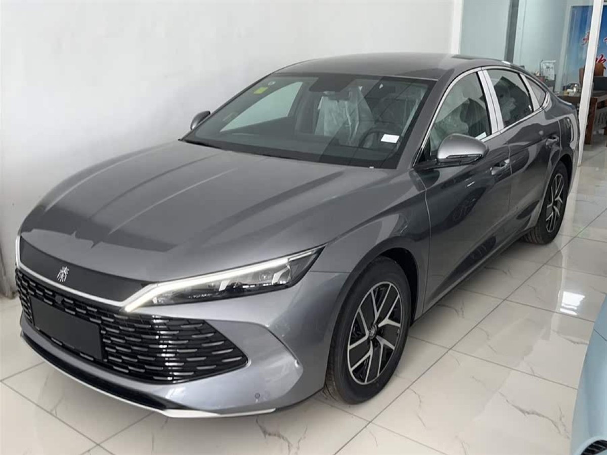 比亞迪 秦L  2024款 DM-i 80KM超越型圖片