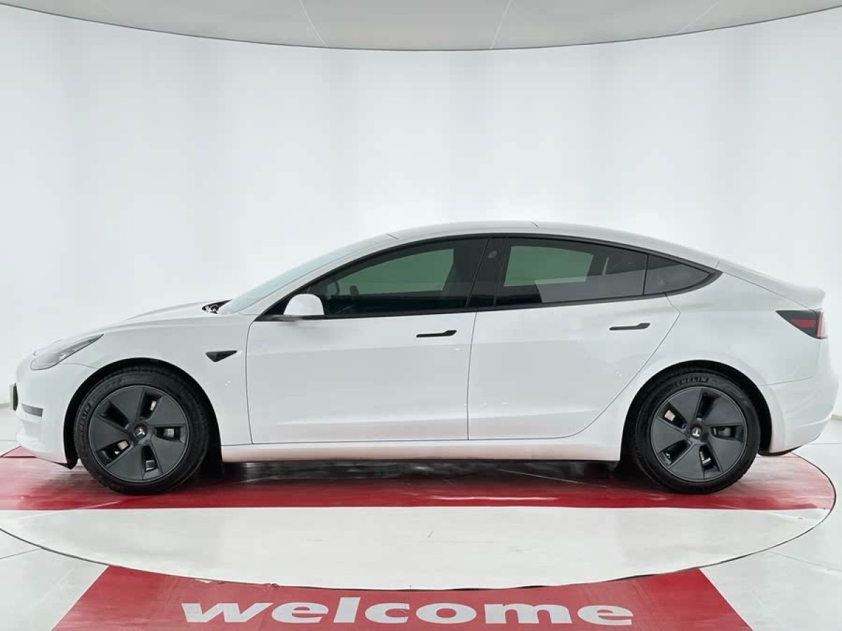特斯拉 Model 3  2021款 改款 標(biāo)準(zhǔn)續(xù)航后驅(qū)升級(jí)版圖片