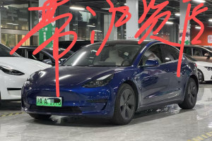 Model 3 特斯拉 標(biāo)準(zhǔn)續(xù)航后驅(qū)升級版 3D6